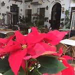 Patios Córdoba