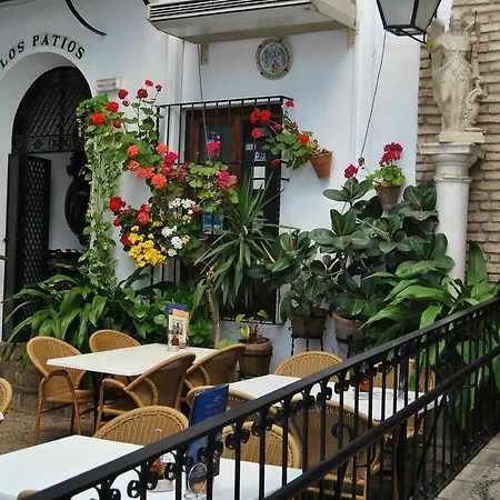 Patios *