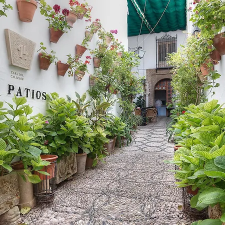 Patios Cordoba