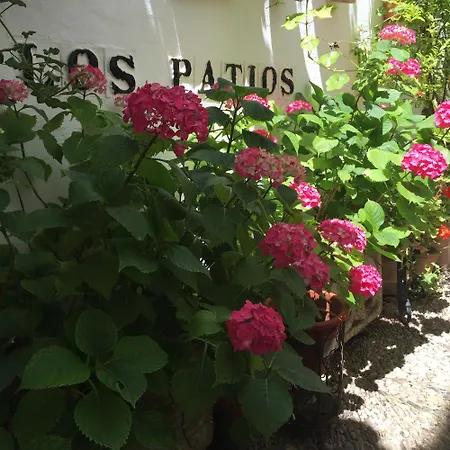 Hotel Patios Cordova