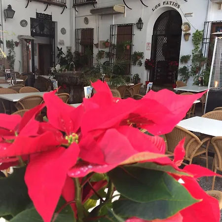 Patios Cordoba