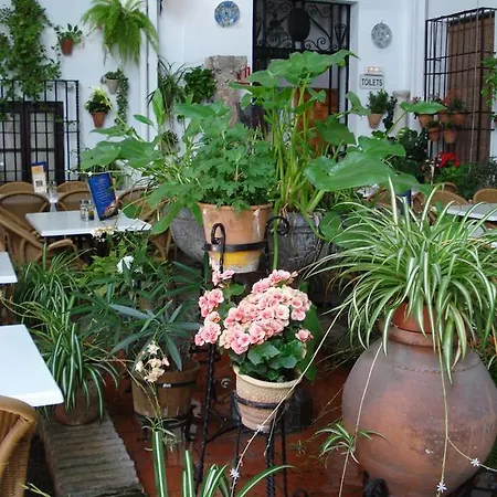 Patios * Cordoba