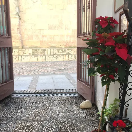 Patios Cordoba
