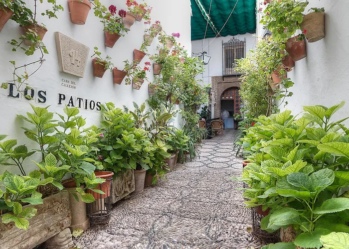 Patios Cordova